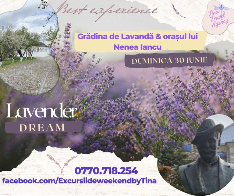 Lavanda&Ploiesti