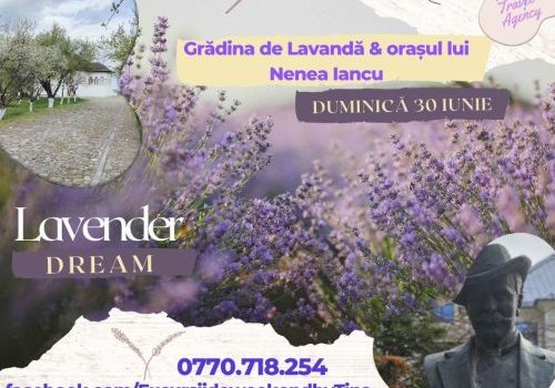 Lavanda&Ploiesti